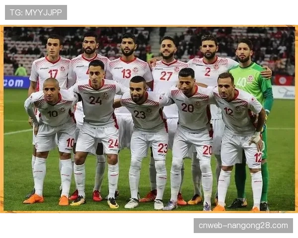 非洲手球势力崛起，埃及与突尼斯俱乐部的欧战挑战之路